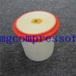 air filter 6.4163.0