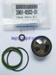  Check valve kit 2901050301